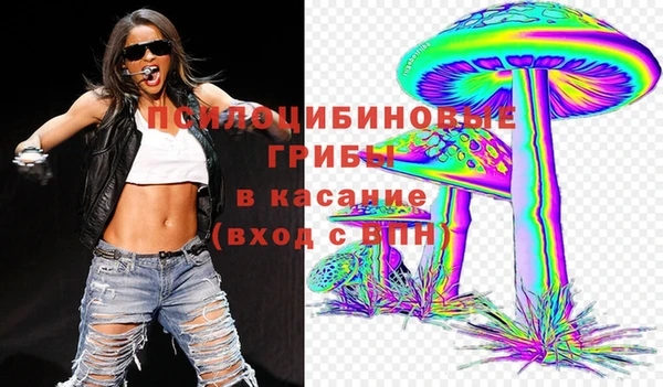 прущая мука Алзамай
