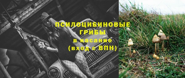 прущая мука Алзамай