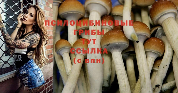 марки nbome Алексеевка