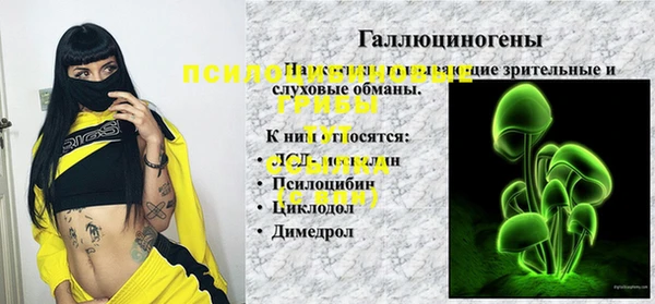 прущая мука Алзамай