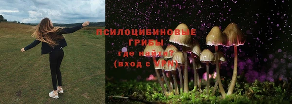 ALPHA PVP Покачи